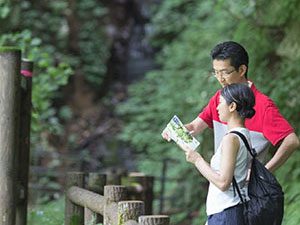 鳥取県智頭町 新緑を散歩