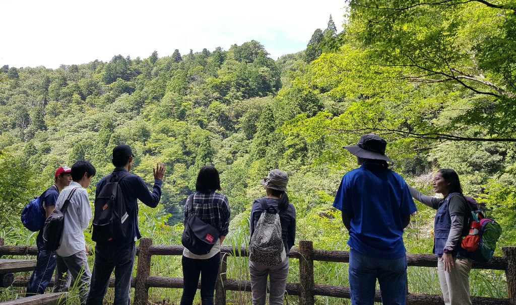 智頭町の森で森のガイドをする原田